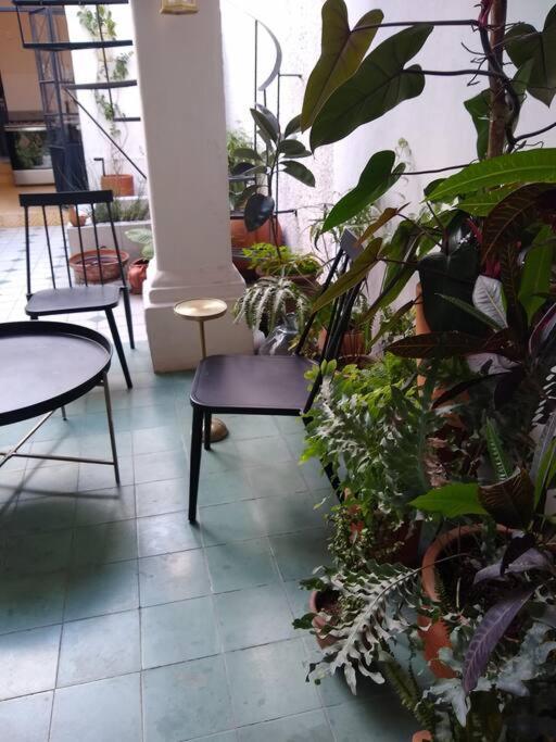 グアダラハラ Casa Cuauhtemocヴィラ エクステリア 写真