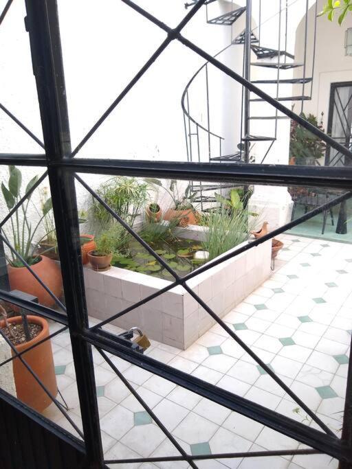 グアダラハラ Casa Cuauhtemocヴィラ エクステリア 写真