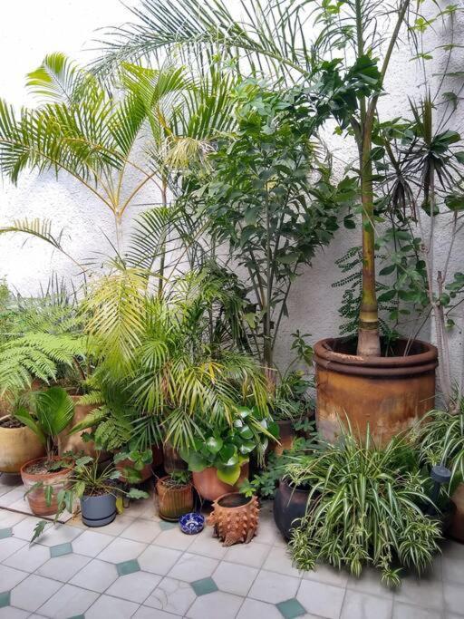 グアダラハラ Casa Cuauhtemocヴィラ エクステリア 写真