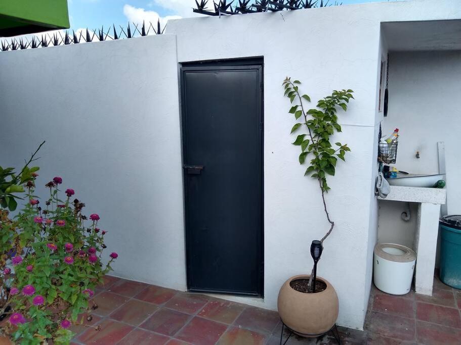 グアダラハラ Casa Cuauhtemocヴィラ エクステリア 写真