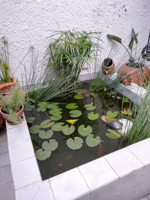 グアダラハラ Casa Cuauhtemocヴィラ エクステリア 写真