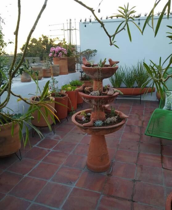 グアダラハラ Casa Cuauhtemocヴィラ エクステリア 写真