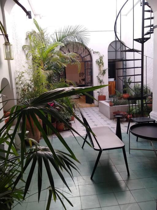 グアダラハラ Casa Cuauhtemocヴィラ エクステリア 写真