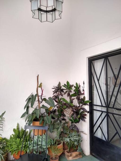 グアダラハラ Casa Cuauhtemocヴィラ エクステリア 写真